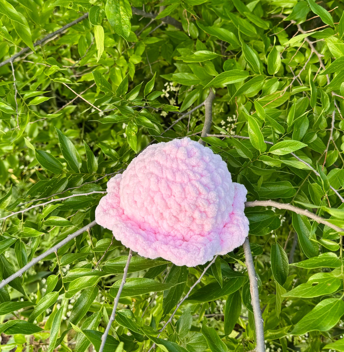 Crocheted Octopus (no eyes)