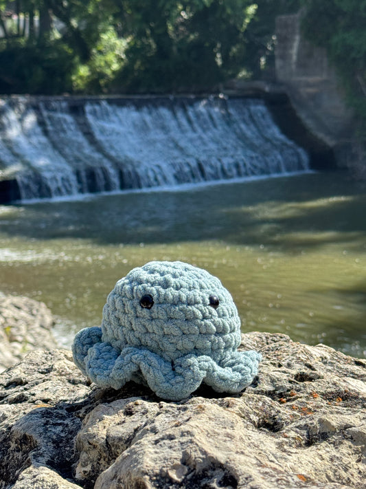 Medium Octopus
