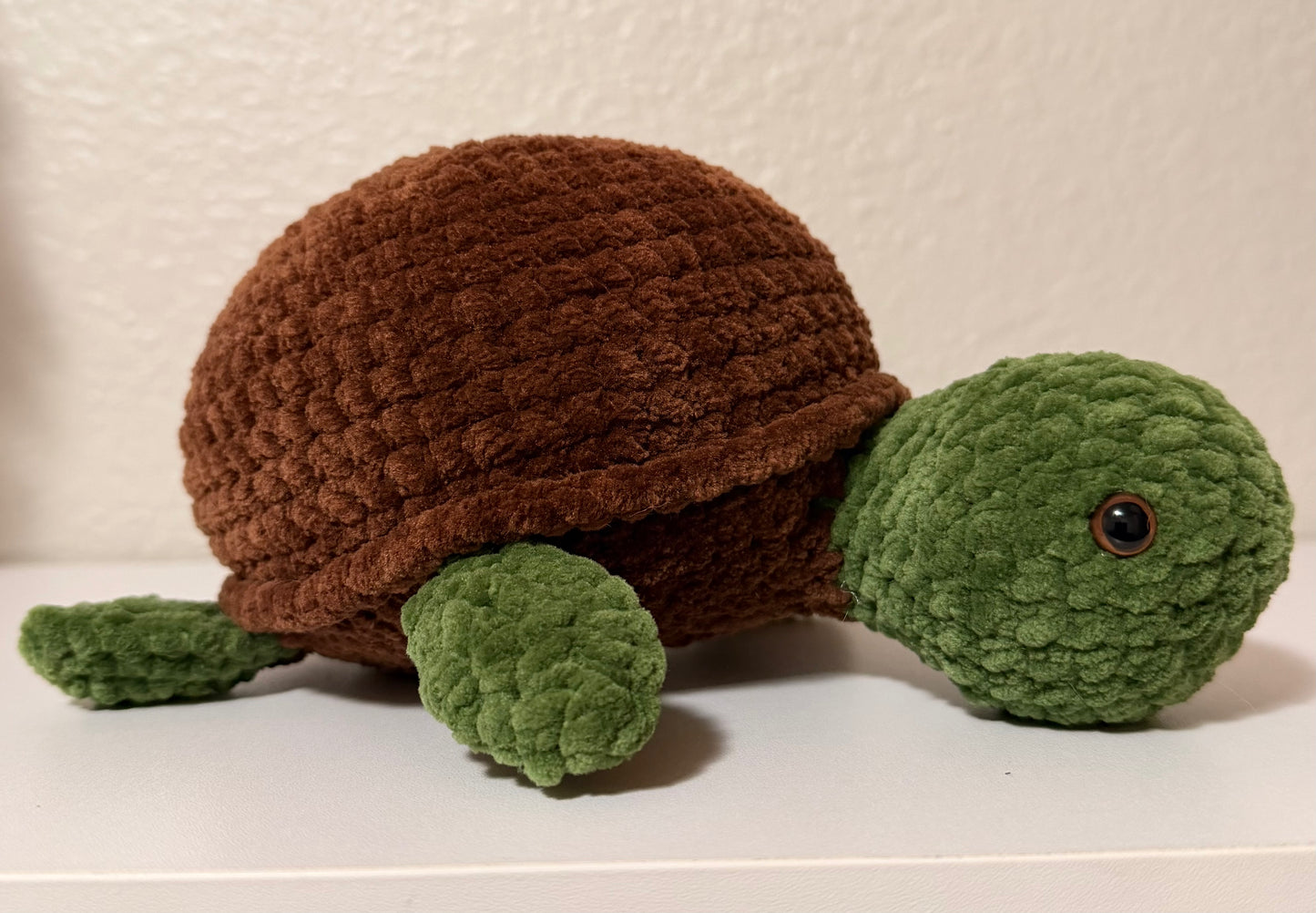 Specialty Turtle