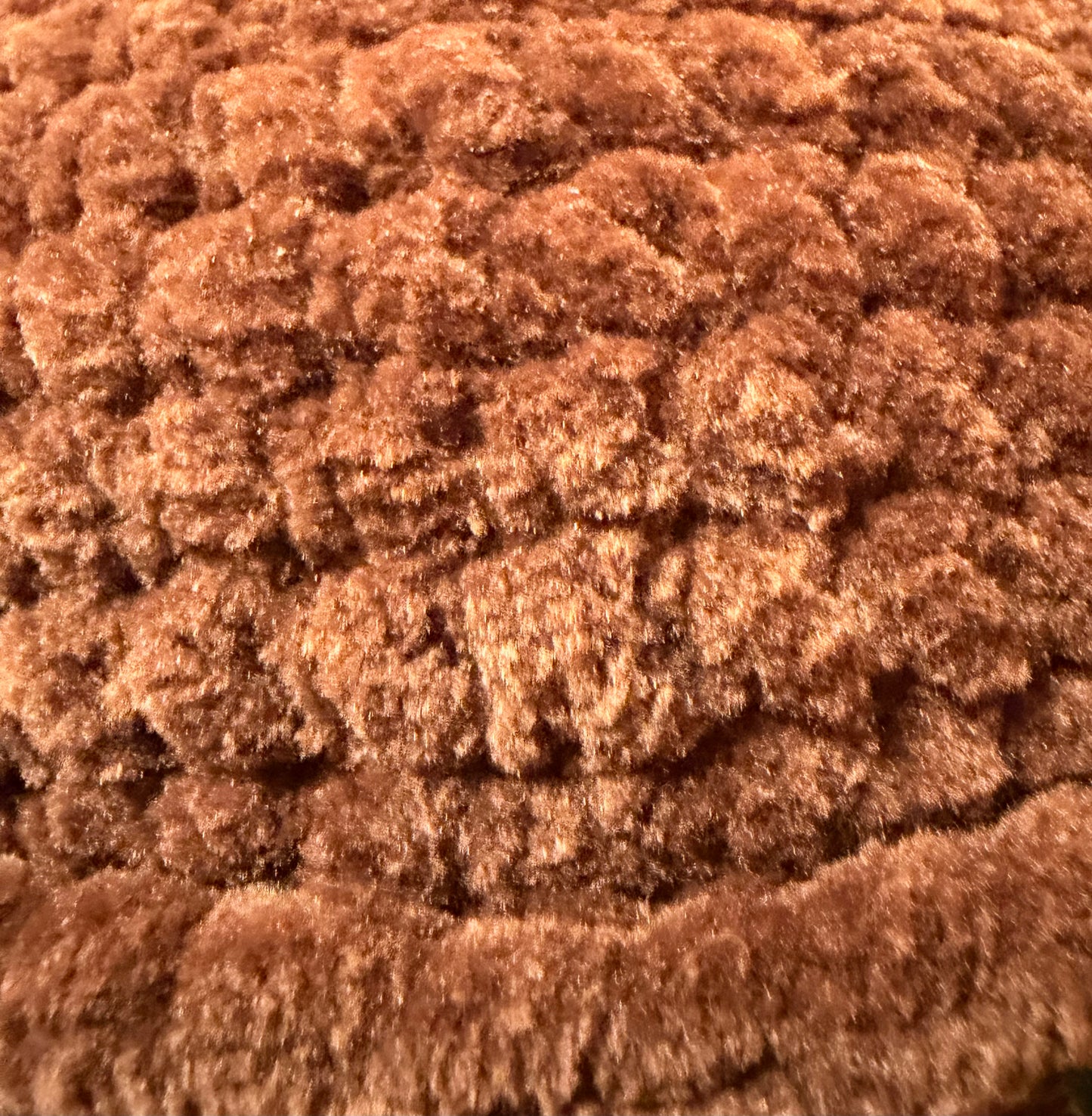 Specialty Turtle