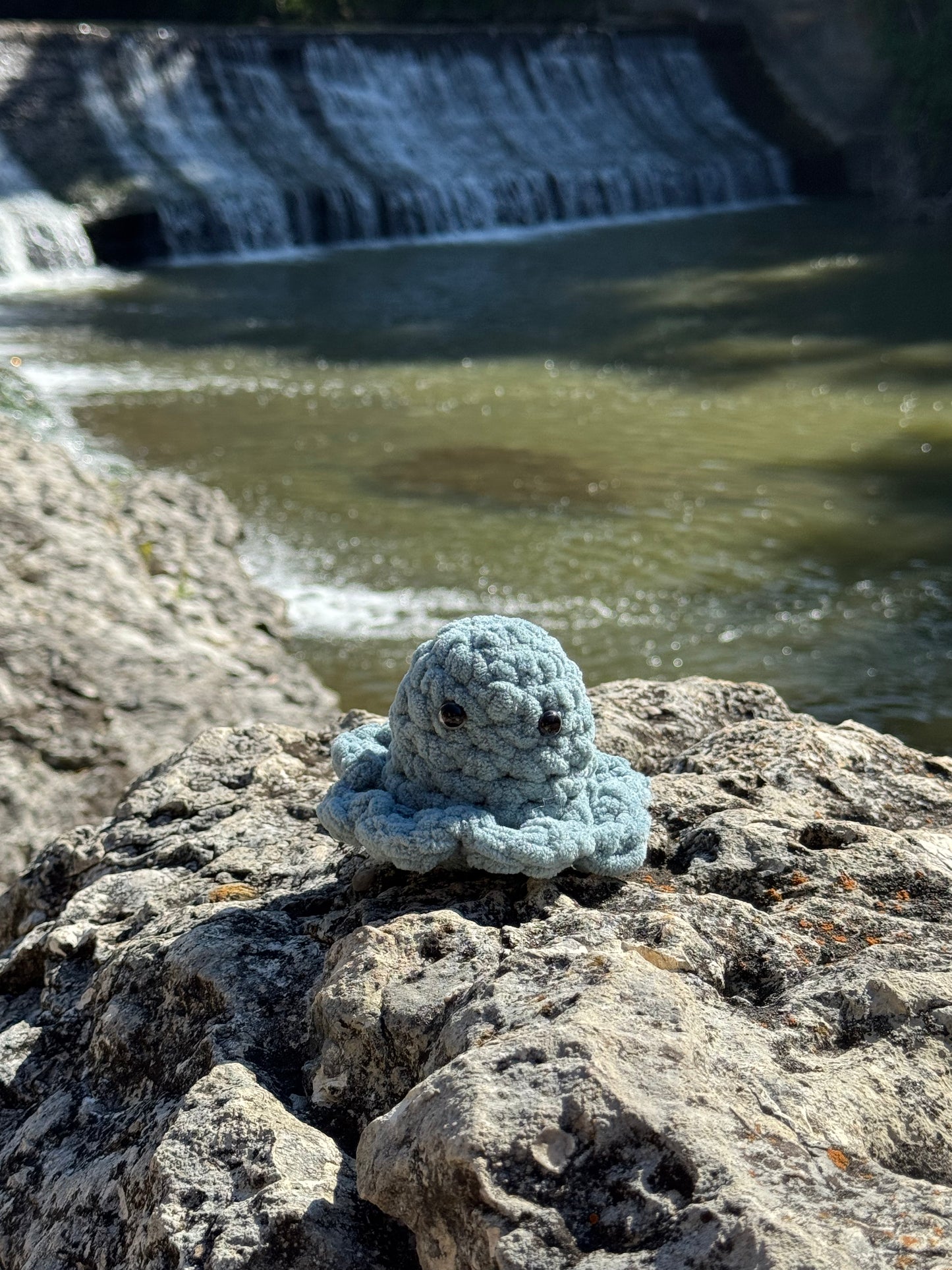 Small Octopus