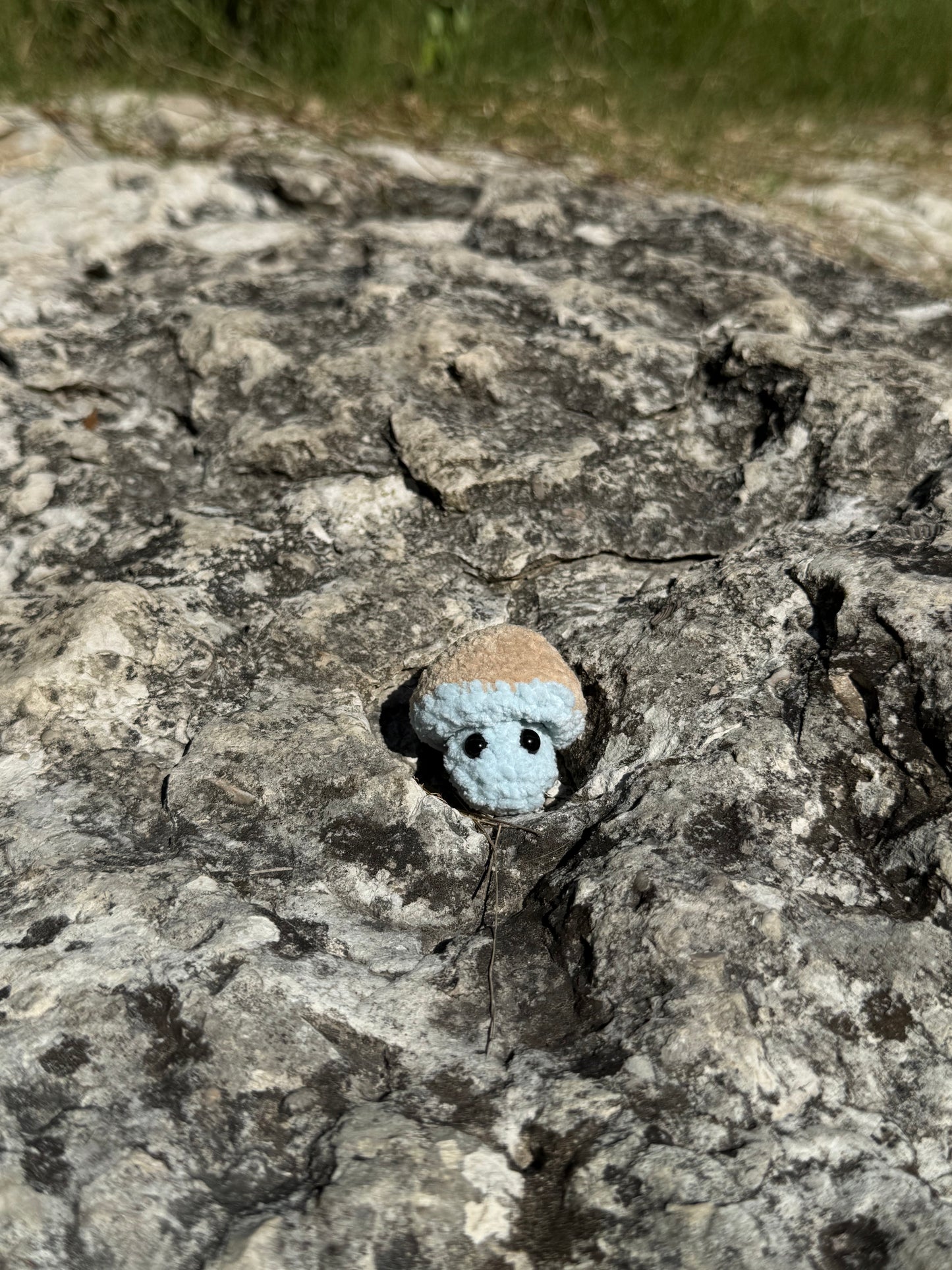 Tiny Mushroom