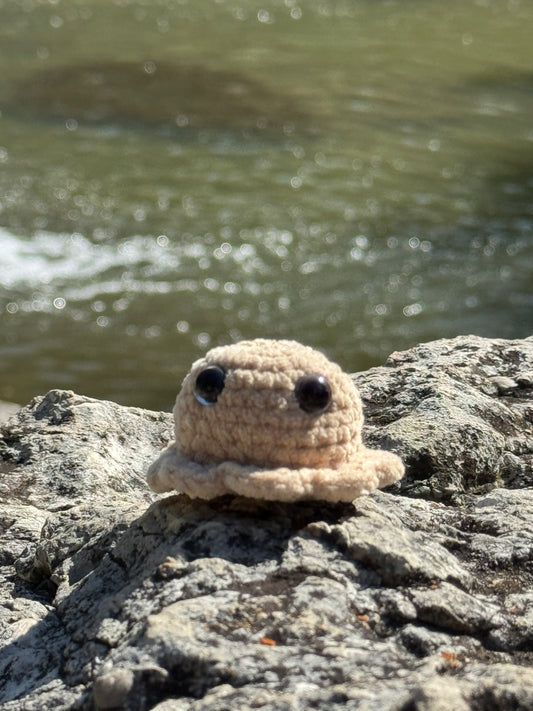Mini Octopus
