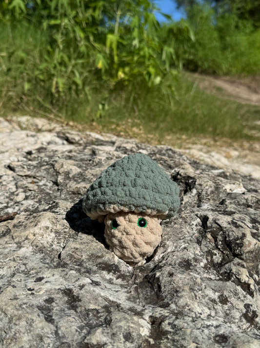 Medium Mushroom